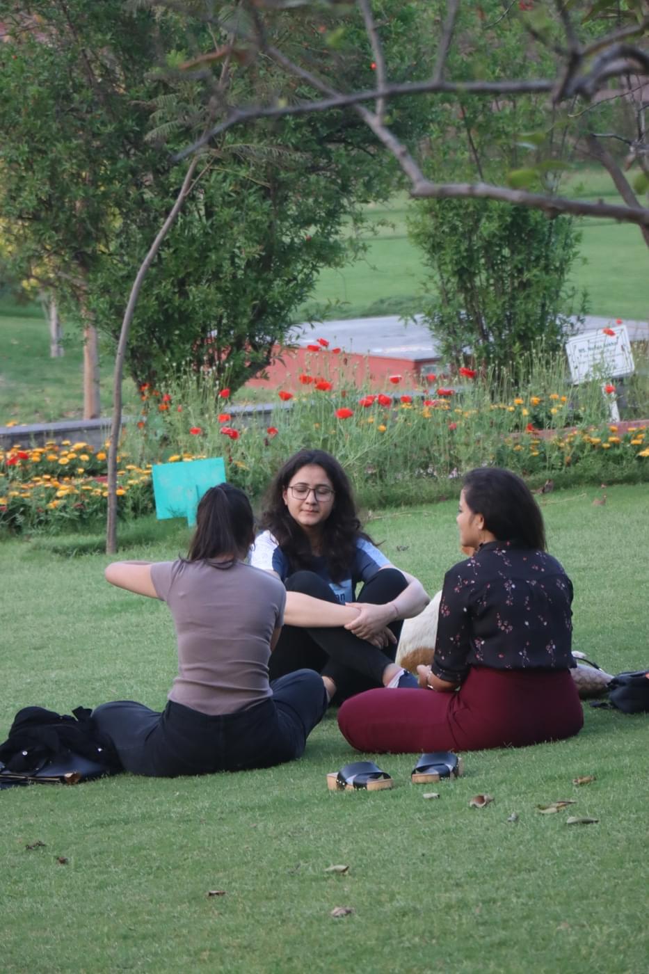 O.P. Jindal Global University Campus photo 170