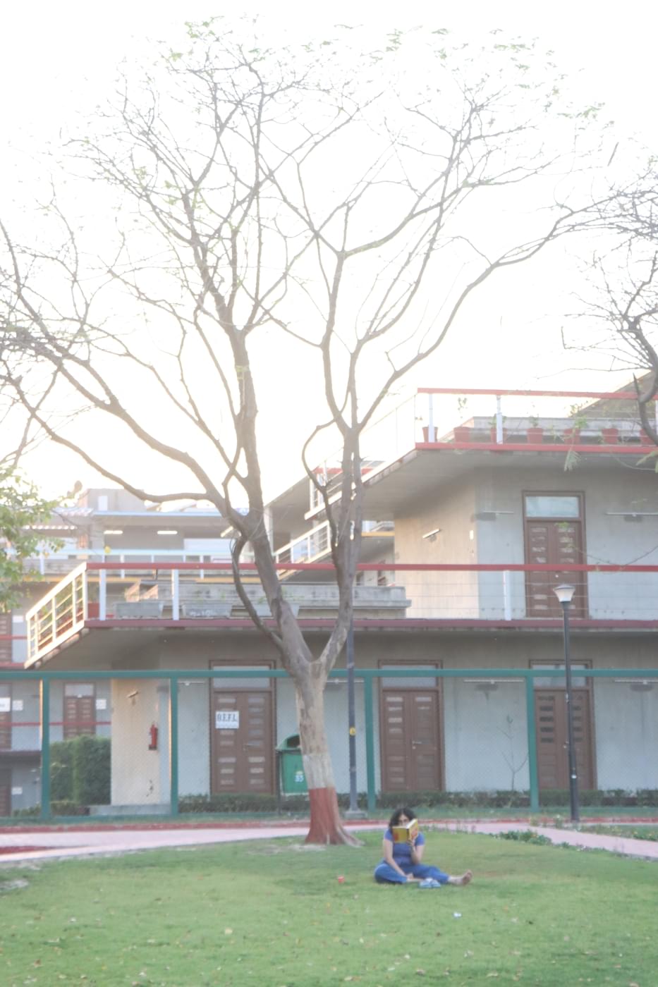 O.P. Jindal Global University Campus photo 172