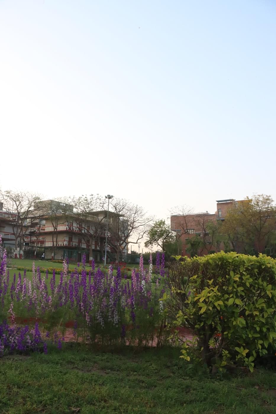O.P. Jindal Global University Campus photo 176
