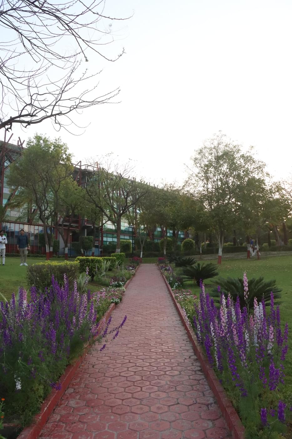 O.P. Jindal Global University Campus photo 177