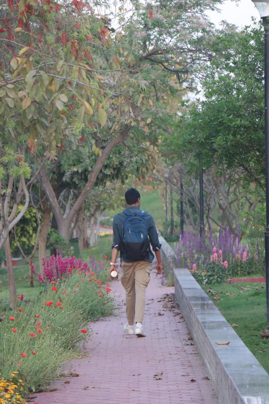 O.P. Jindal Global University Campus photo 181