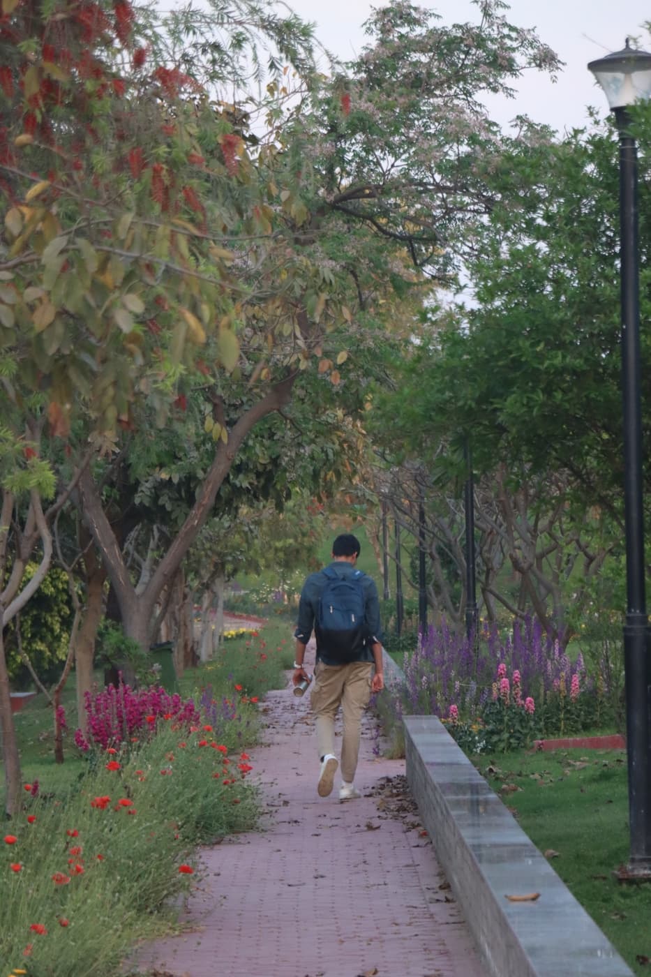 O.P. Jindal Global University Campus photo 182