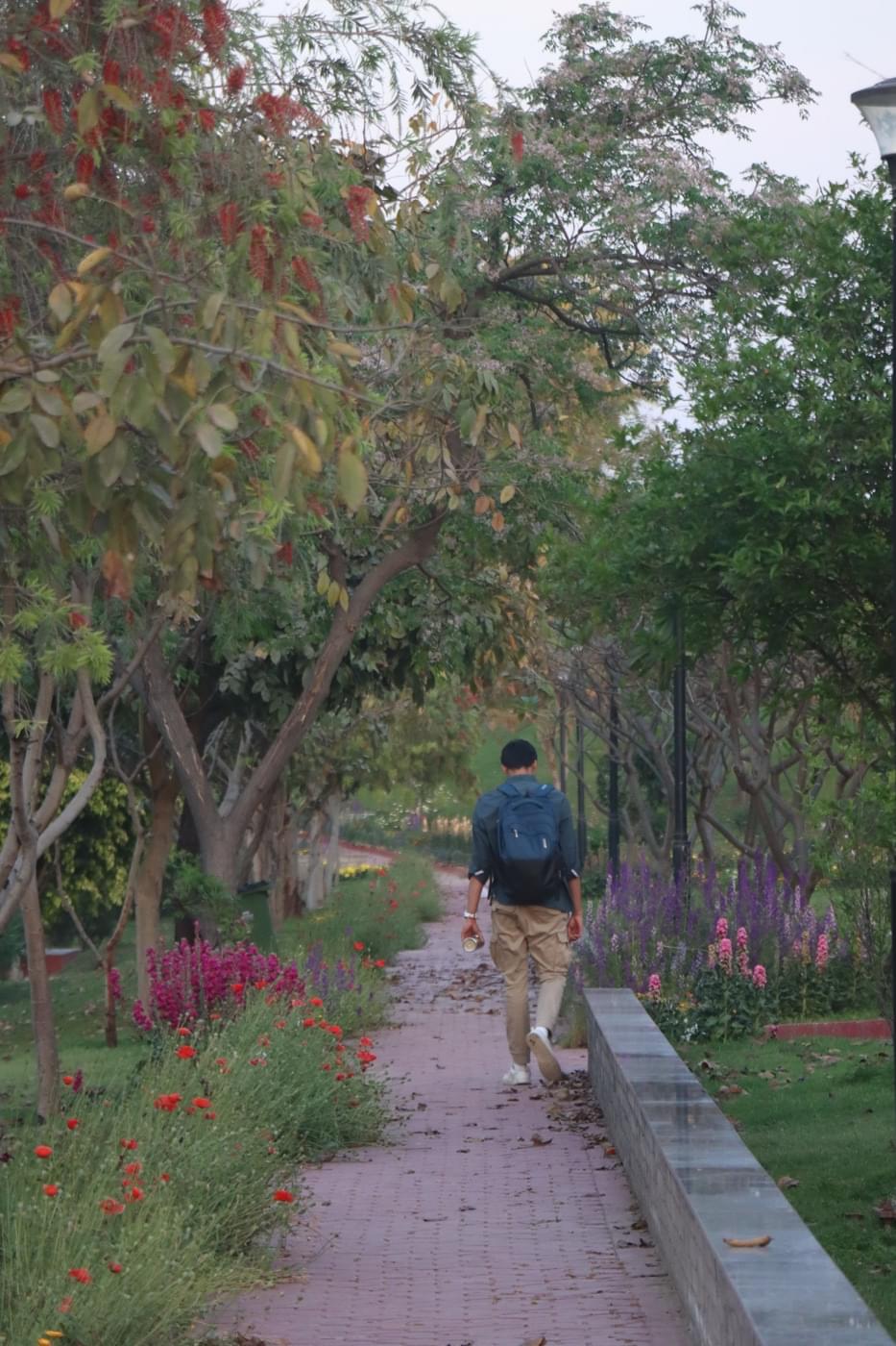 O.P. Jindal Global University Campus photo 183