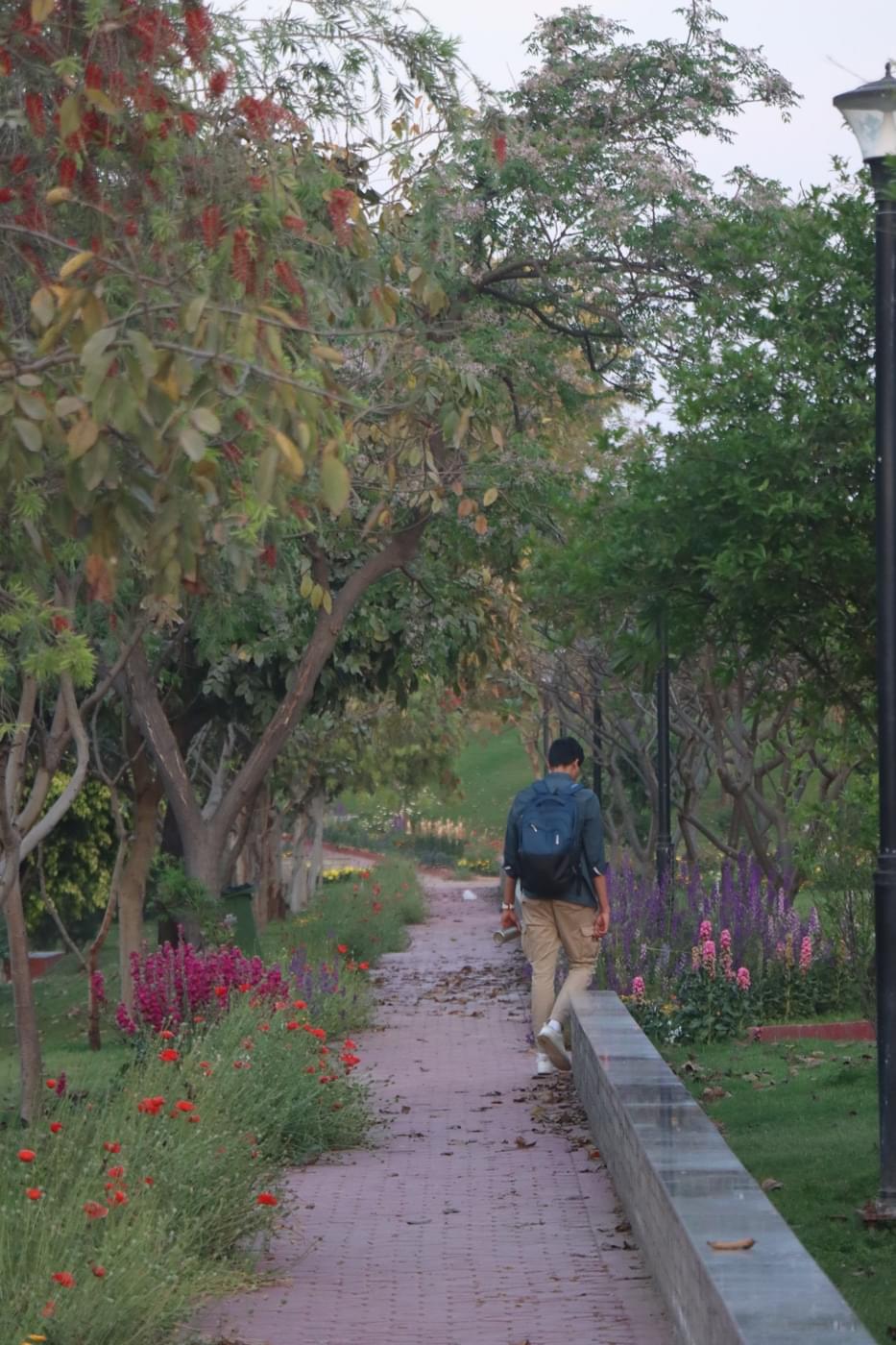 O.P. Jindal Global University Campus photo 184