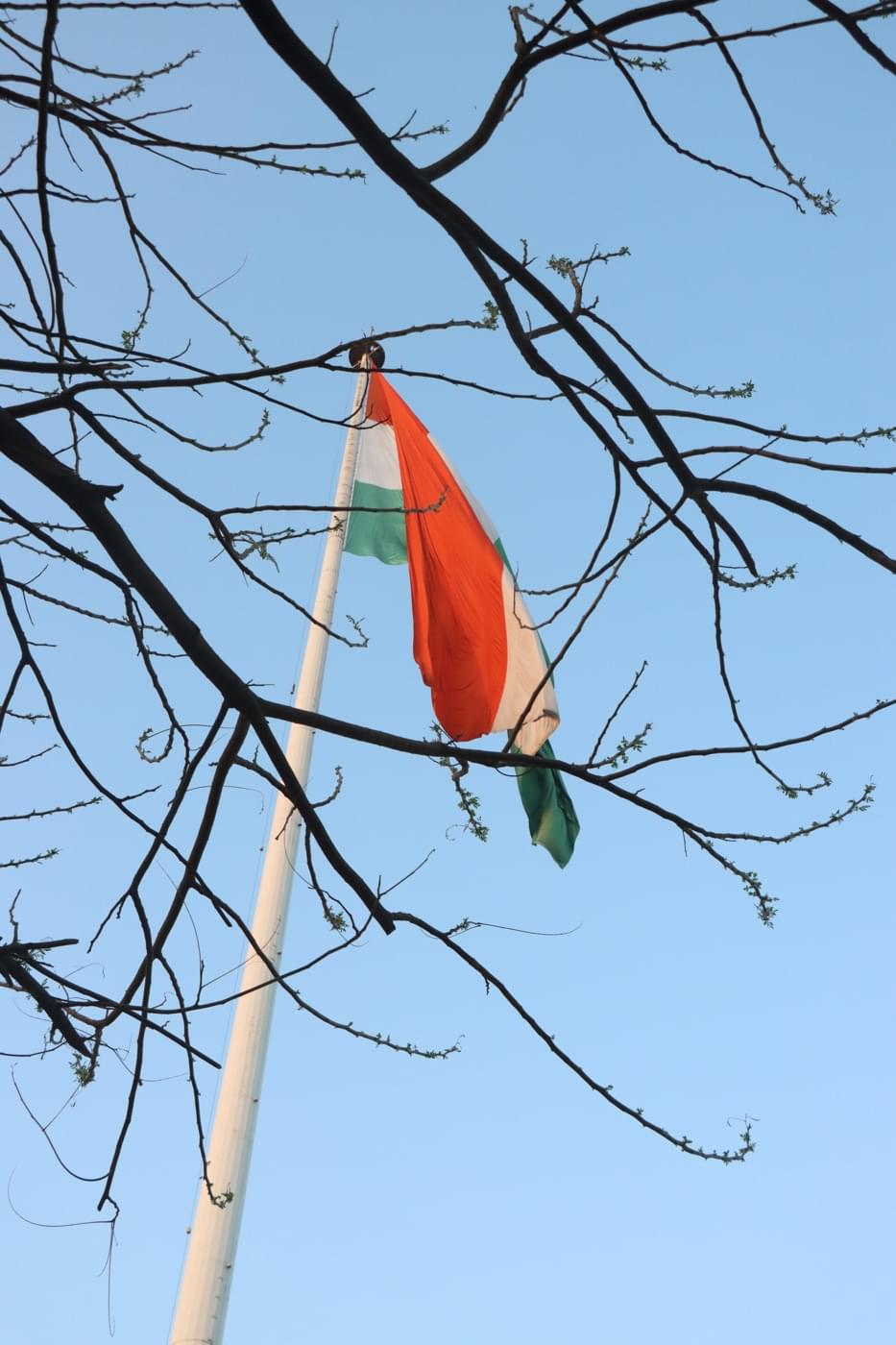 O.P. Jindal Global University Campus photo 186