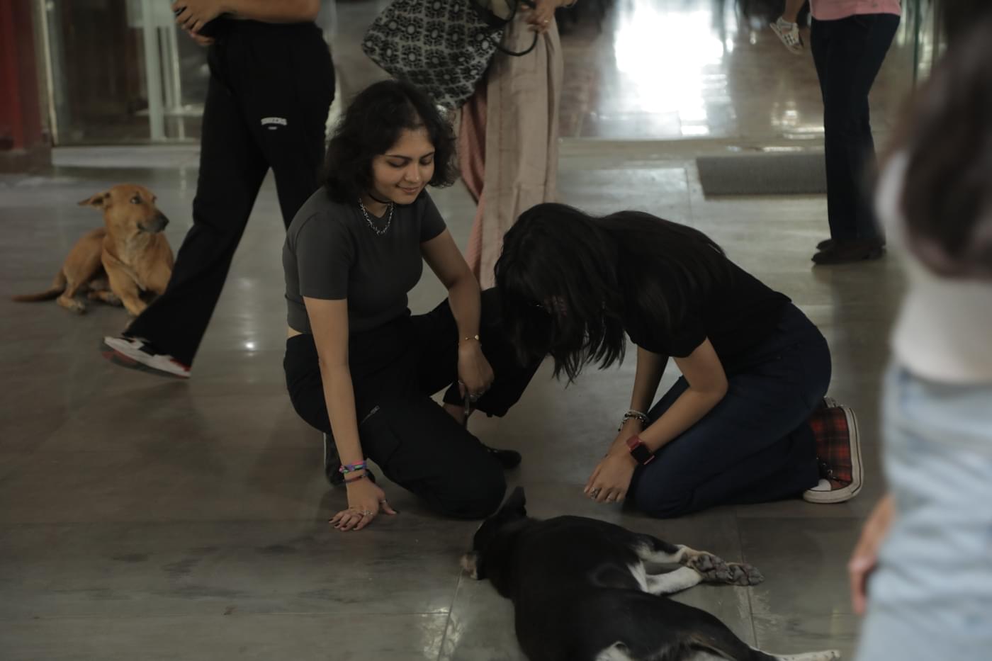 O.P. Jindal Global University Orientation photo 6