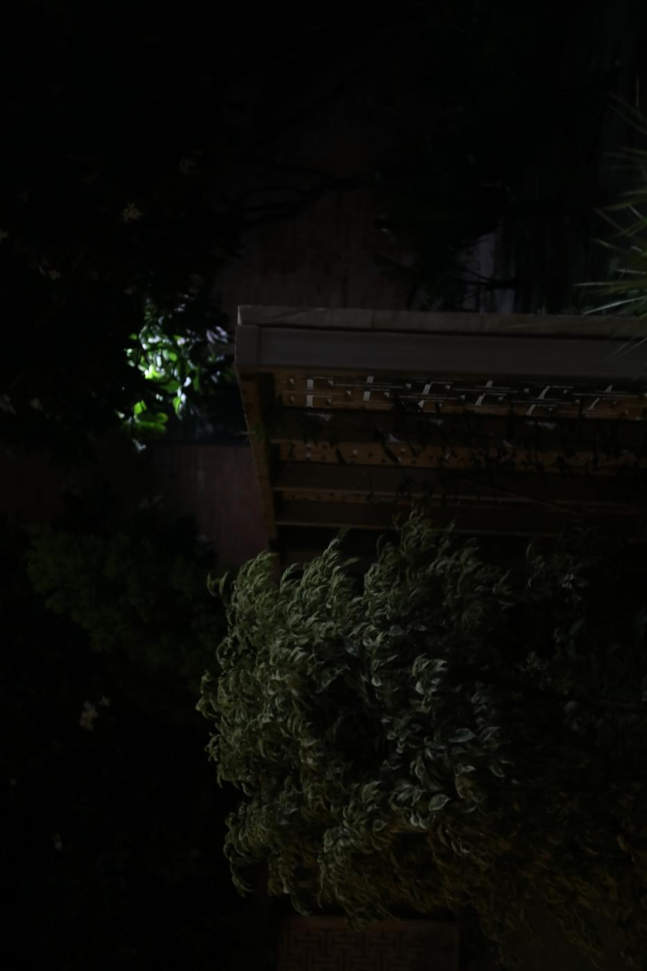 O.P. Jindal Global University Alumni Meet photo 24