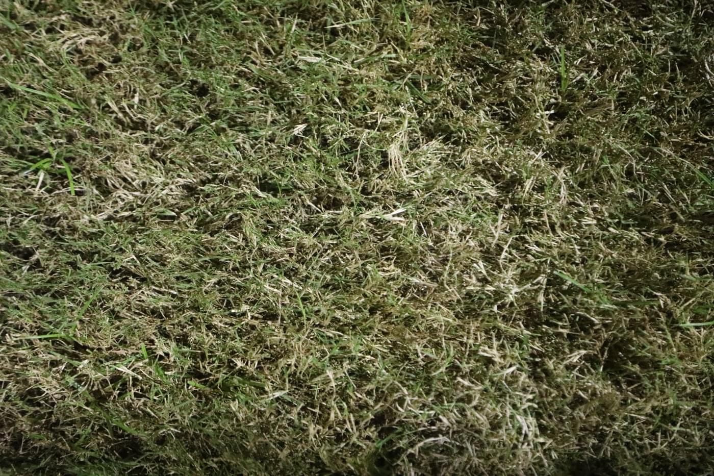 O.P. Jindal Global University Alumni Meet photo 38