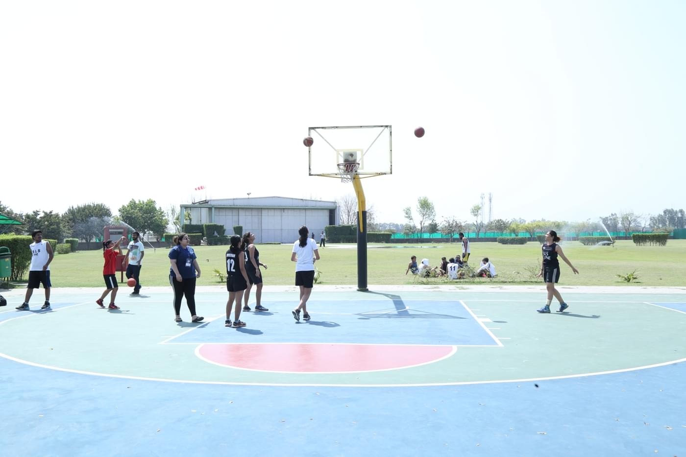 O.P. Jindal Global University Magnus photo 131