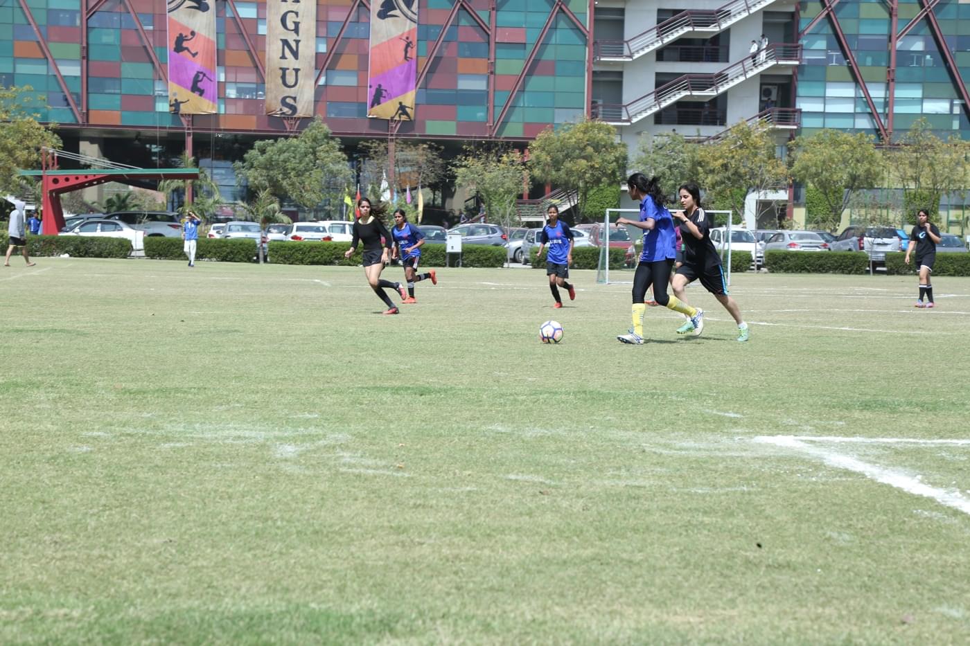 O.P. Jindal Global University Magnus photo 202