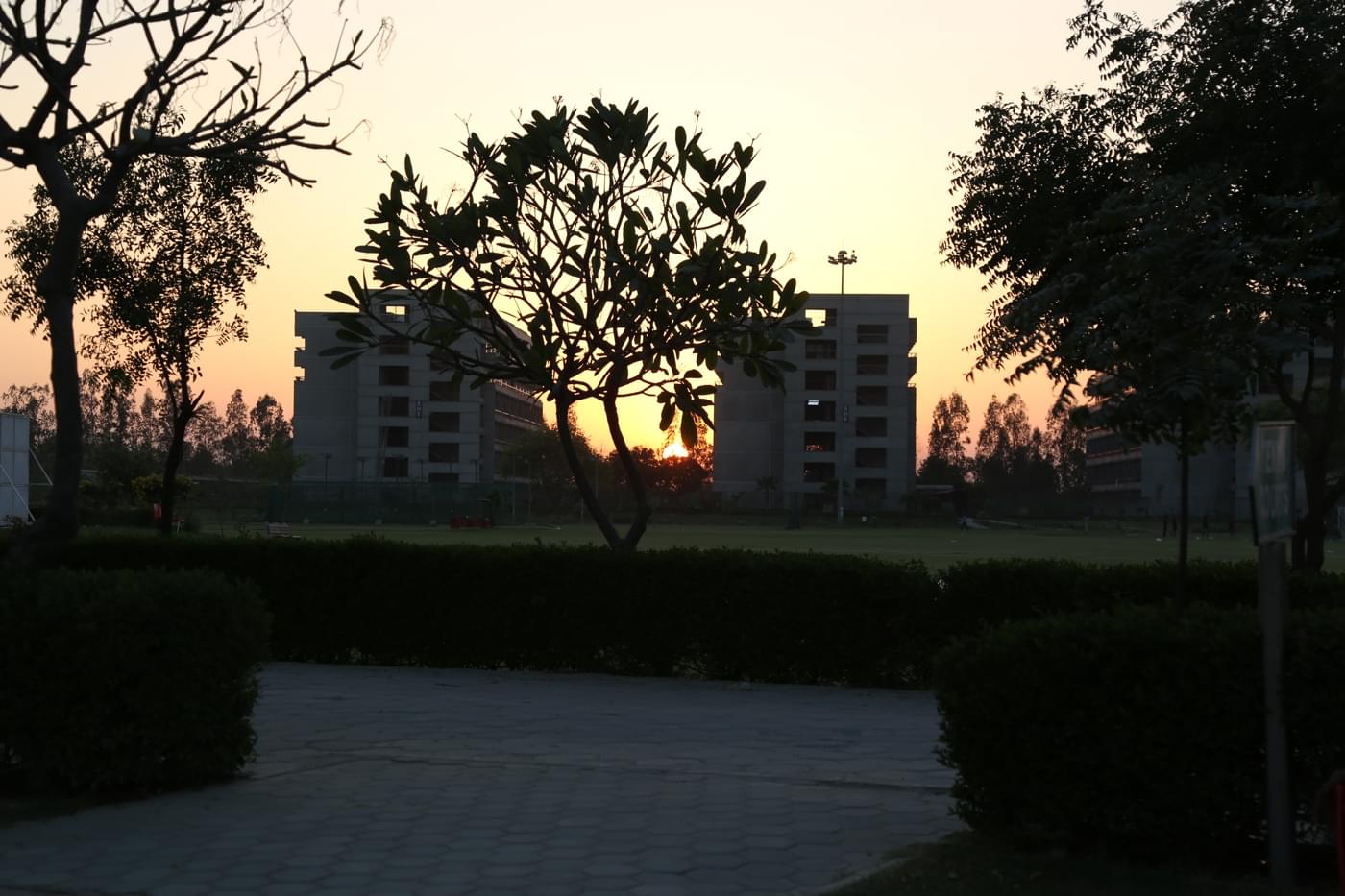 O.P. Jindal Global University Magnus photo 241