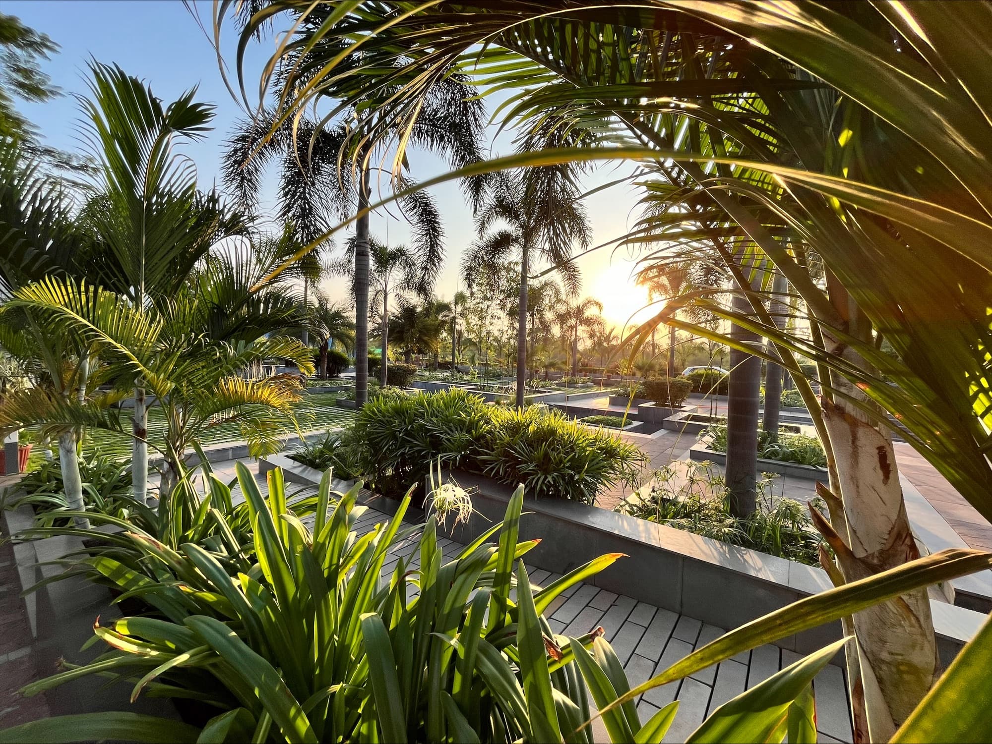 KK Modi University Bhilai Campus photo 12