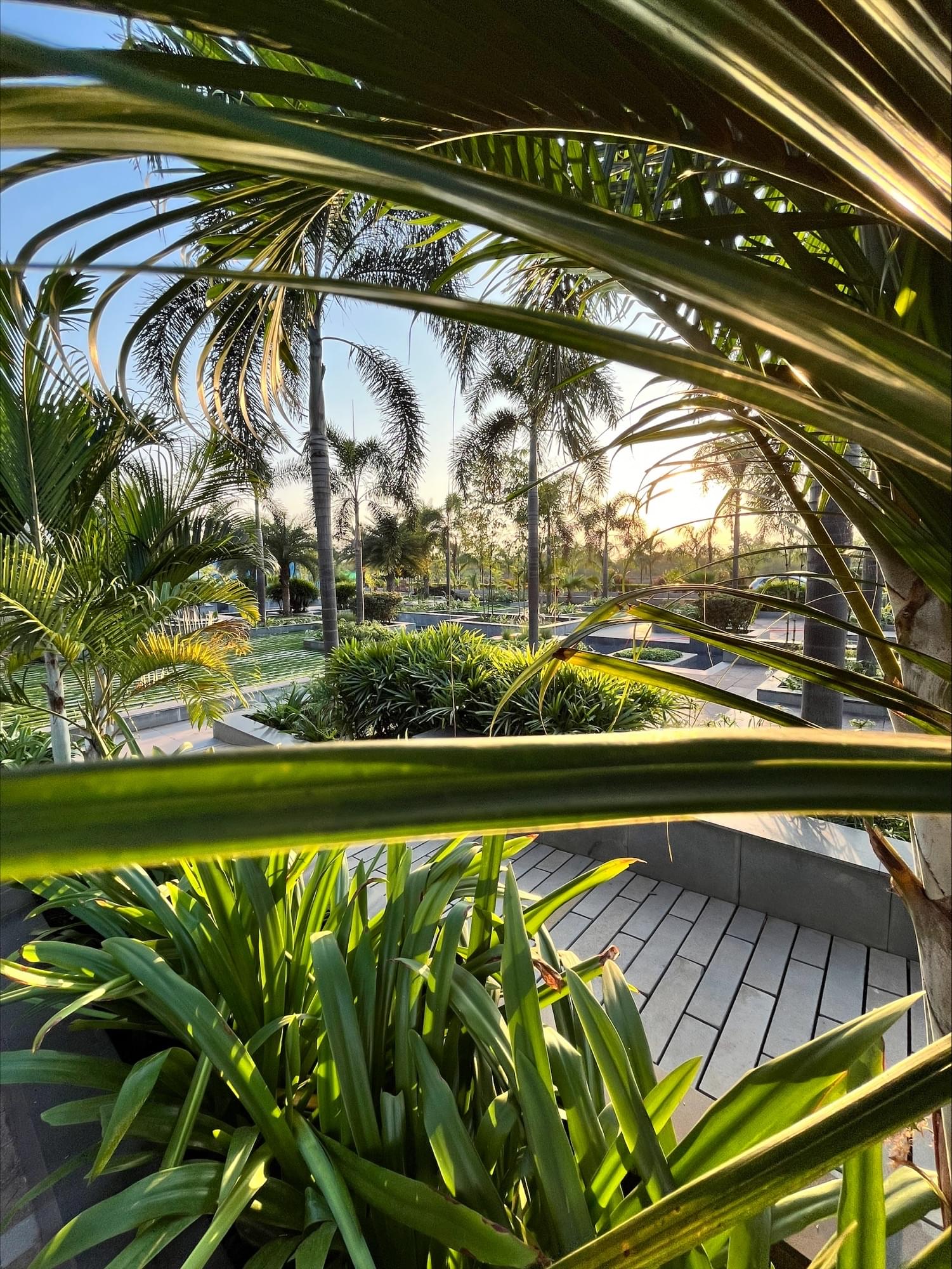 KK Modi University Bhilai Campus photo 28