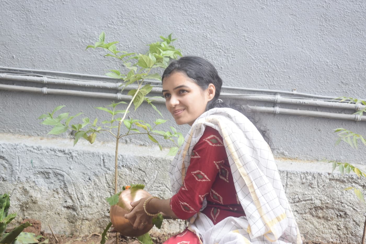 AIMS Institute of Management Studies Pune Tree Plantataion photo 11