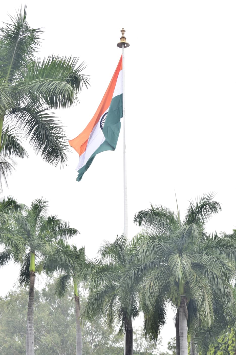 AIMS Institute of Management Studies Pune NDA photo 13