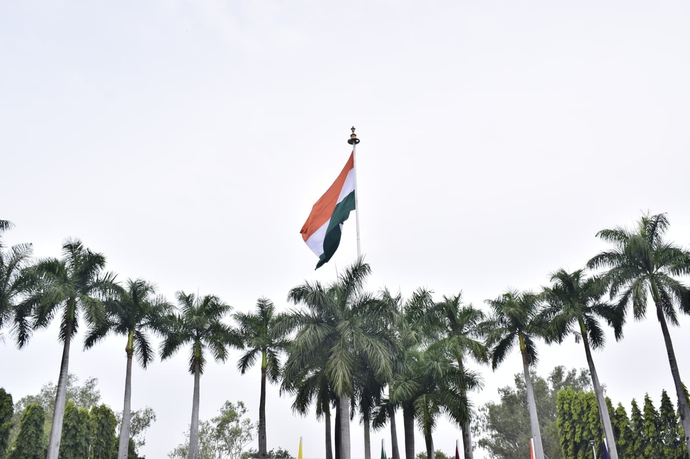 AIMS Institute of Management Studies Pune NDA photo 14