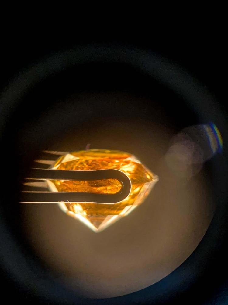 Indian Institute of Gems & Jewellery Mumbai Student Jewellery photo 40