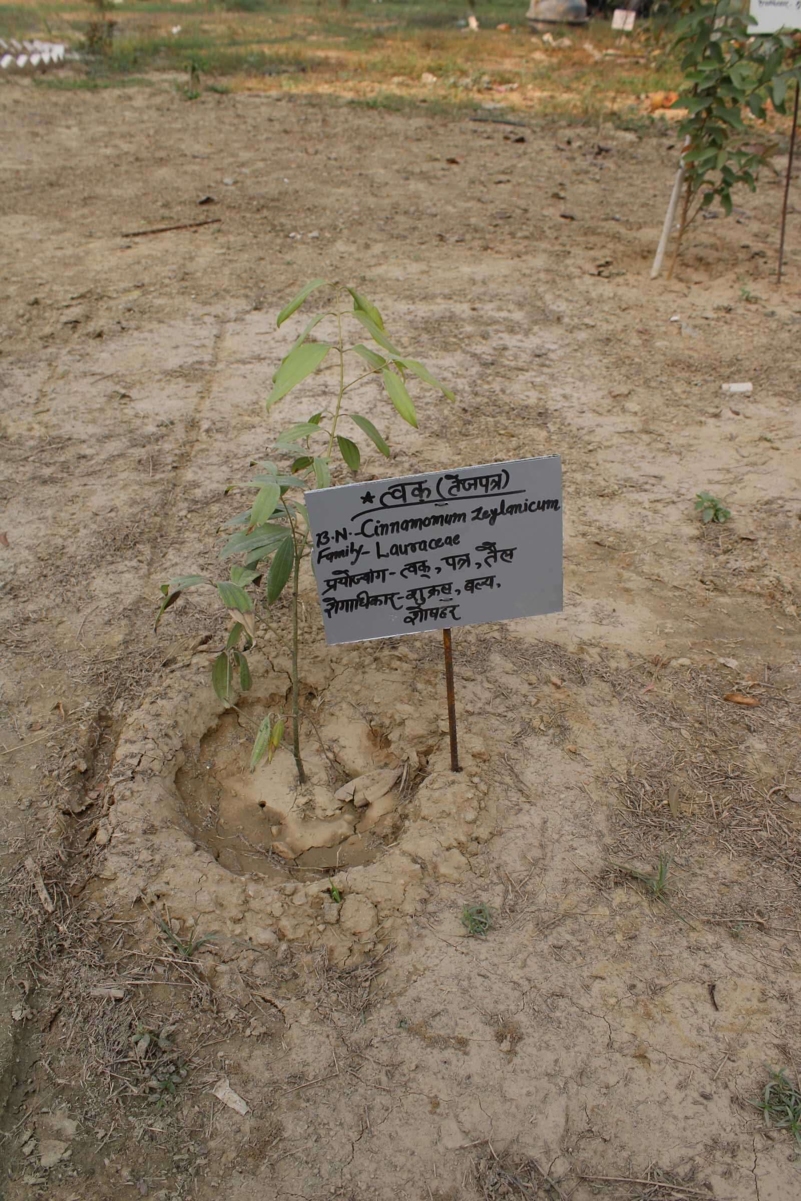 Goel Ayurvedic Medical College and Hospital Lucknow hostel photo 13