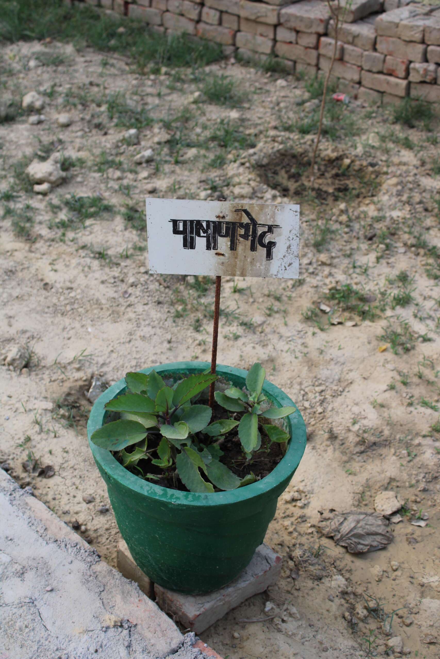 Goel Ayurvedic Medical College and Hospital Lucknow hostel photo 12