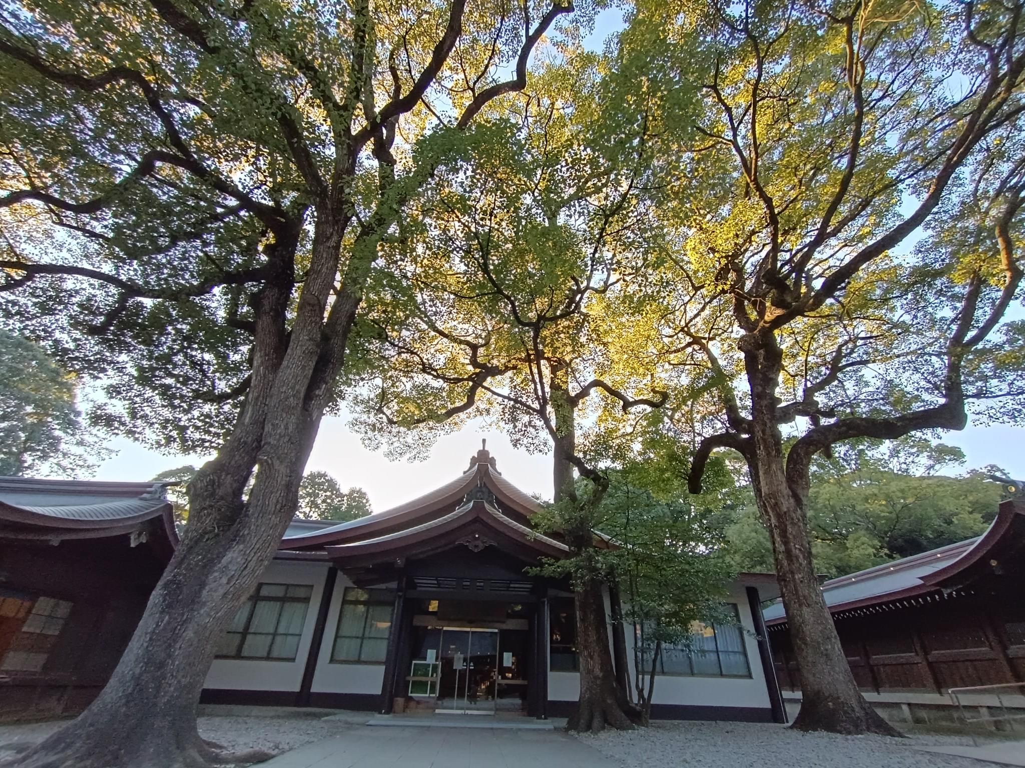 EMPI Business School International Trip photo 2