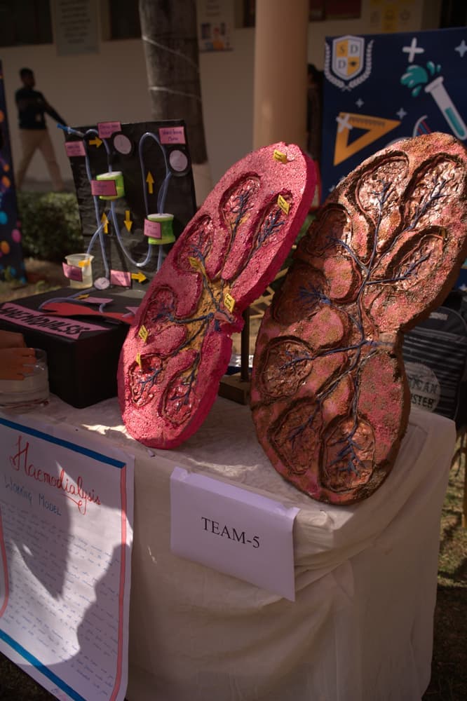 Swami Devi Dyal Group of Professional Institutions Panchkula Science Exhibition photo 1