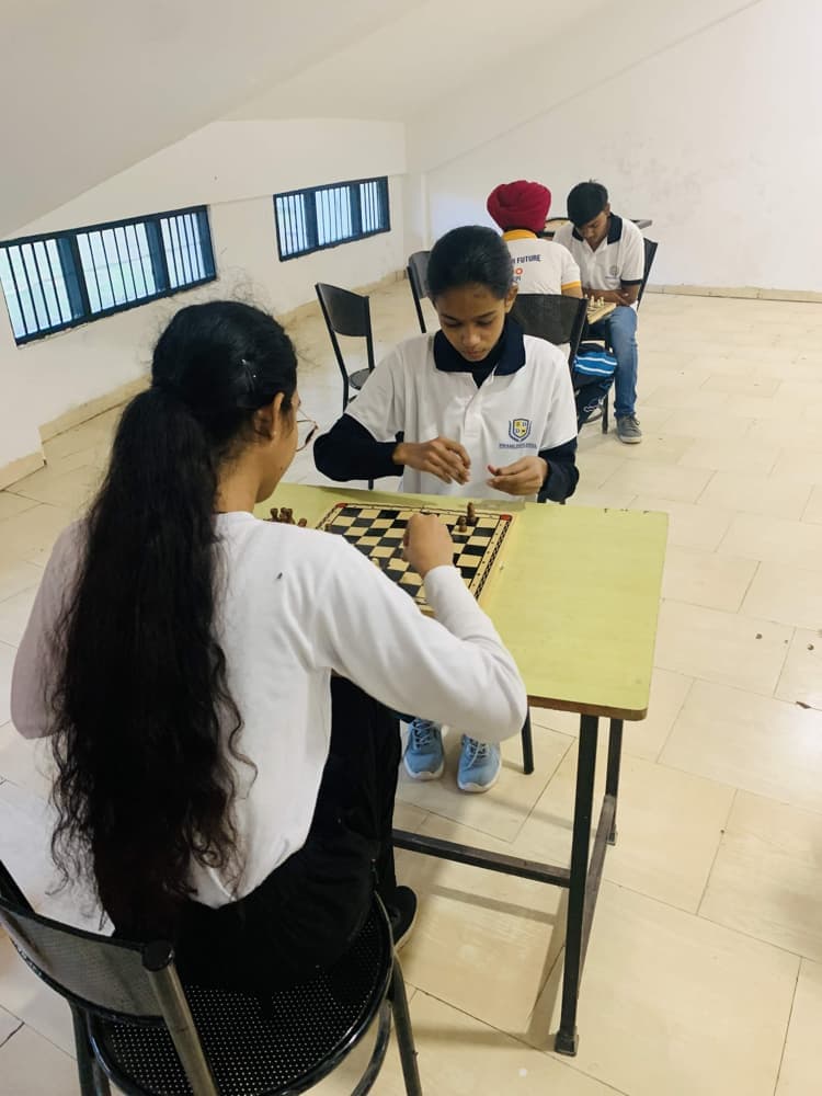 Swami Devi Dyal Group of Professional Institutions Panchkula Sports photo 3