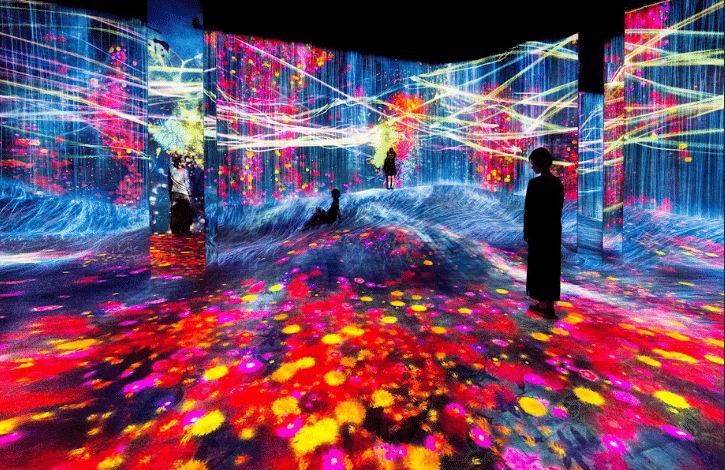 Center for Design Studies Indore Images photo 7