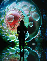 Center for Design Studies Indore Images photo 17