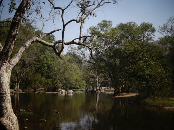 Institute of Management, Nirma University Ahmedabad Events photo 56