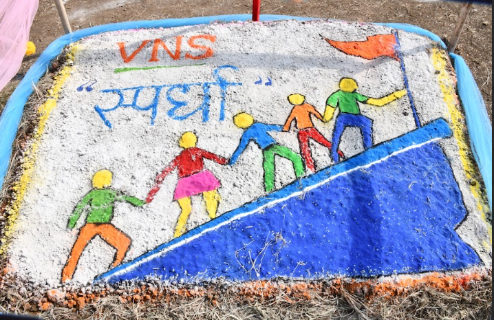 VNS Group of Institutions, Faculty of Pharmacy Bhopal Kites Festival photo 6