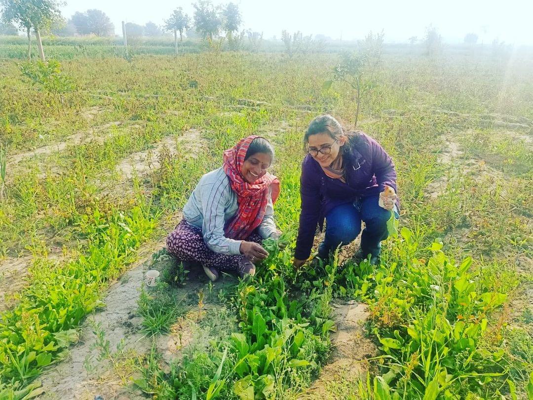 O.P. Jindal Global University, Jindal School of Public Health and Human Development Sonepat Internship experience photo 2