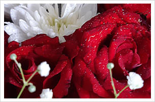 Shell College Of Hotel & Tourism Management, Thane(W) House Keeping photo 15