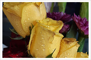 Shell College Of Hotel & Tourism Management, Thane(W) House Keeping photo 14