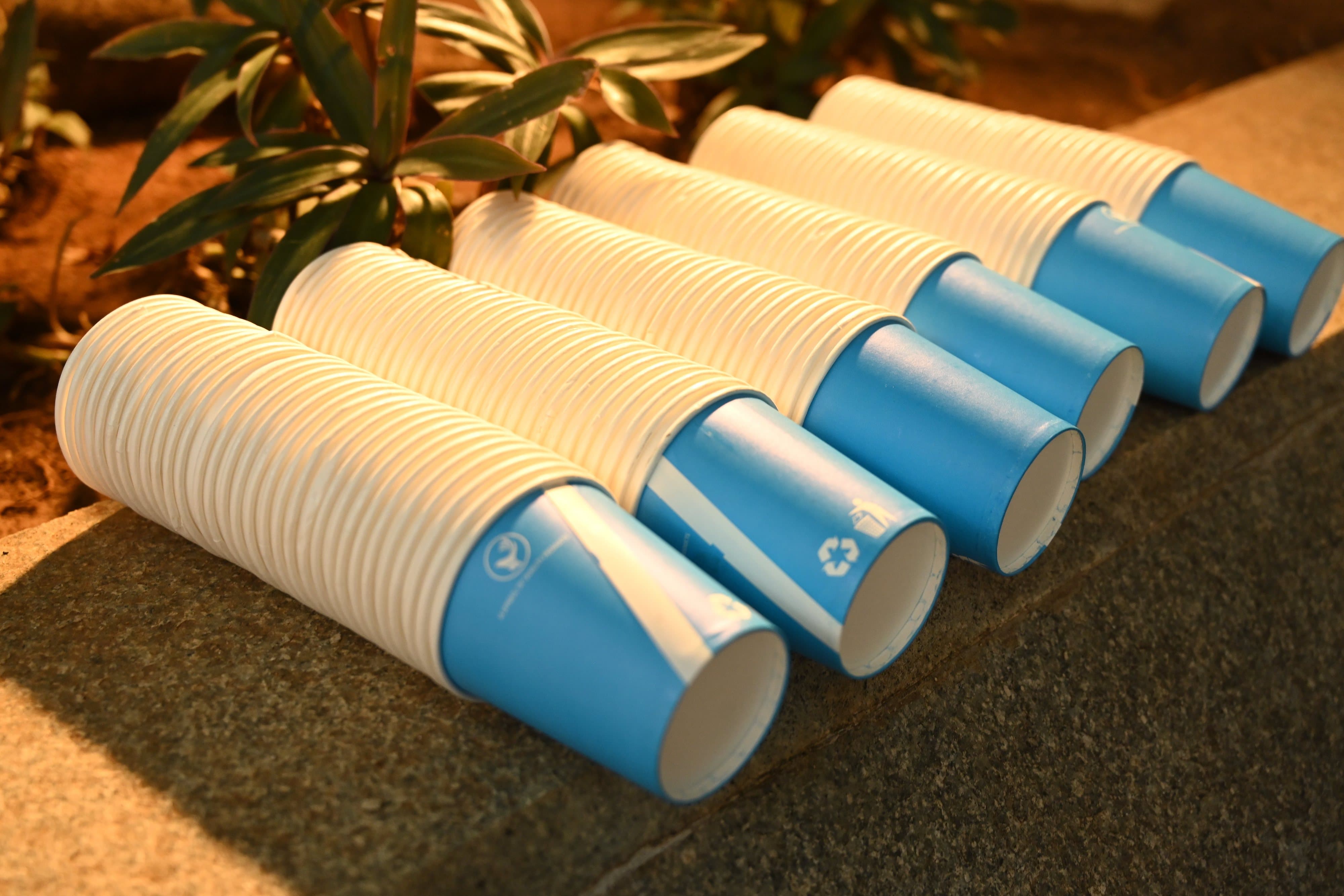 MYRA School of Business Mysore Fresher Day photo 88