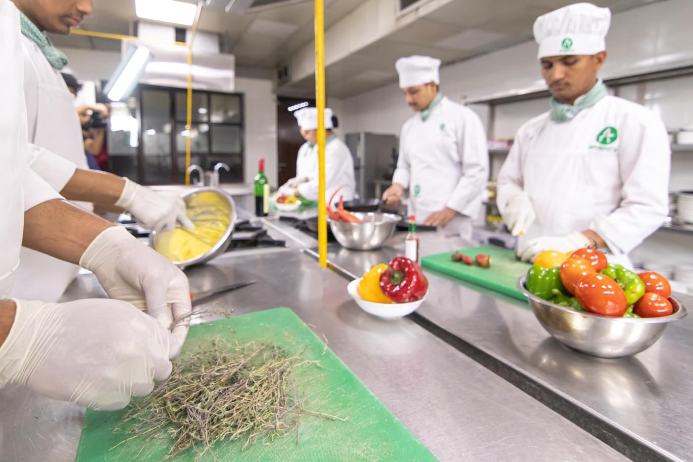 Ananta Institute of Hotel Management & Allied studies Jaipur Campus photo 23