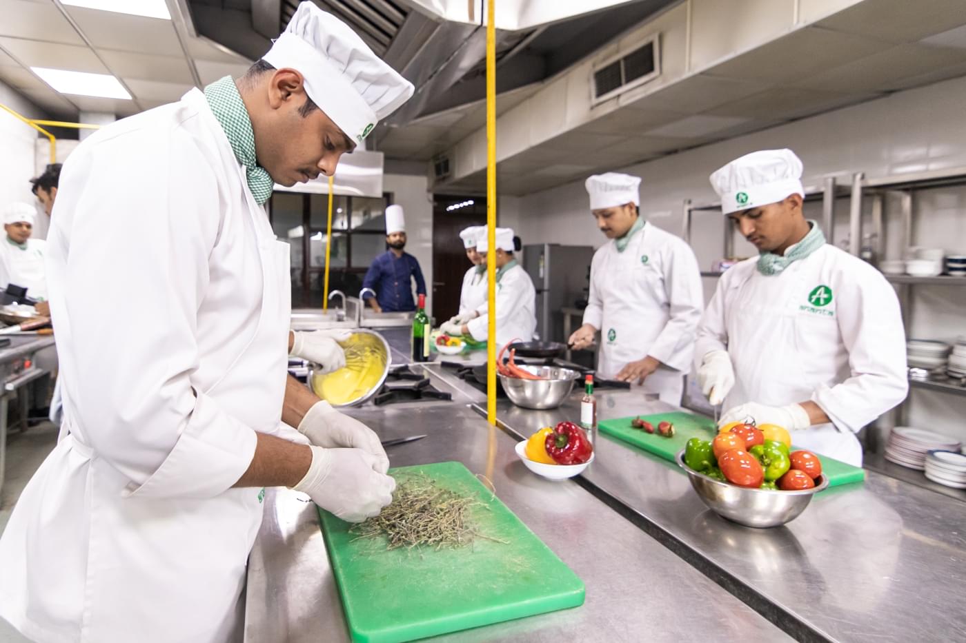 Ananta Institute of Hotel Management & Allied studies Jaipur Campus photo 24