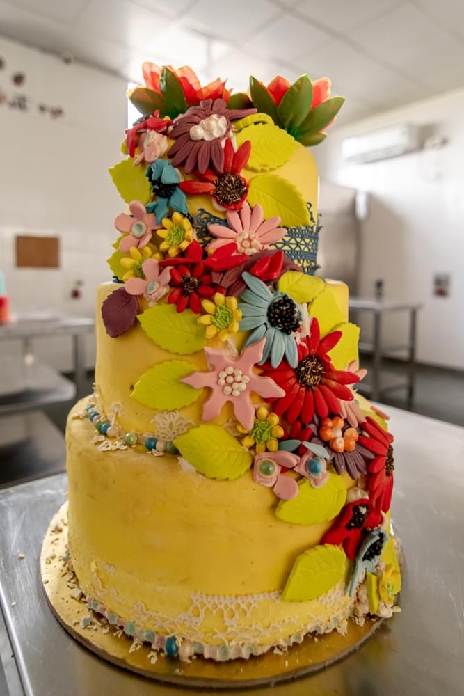 Ananta Institute of Hotel Management & Allied studies Jaipur Campus photo 38