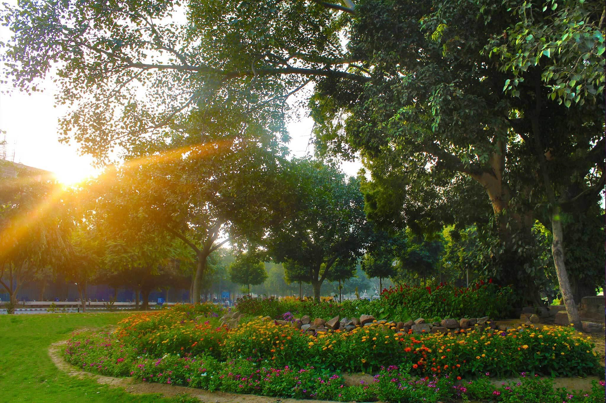 IIT Delhi Infrastructure photo 15
