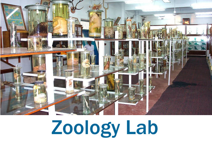 Nihal Shyam College of Management Science & Technology, Bareilly Facilities photo 13