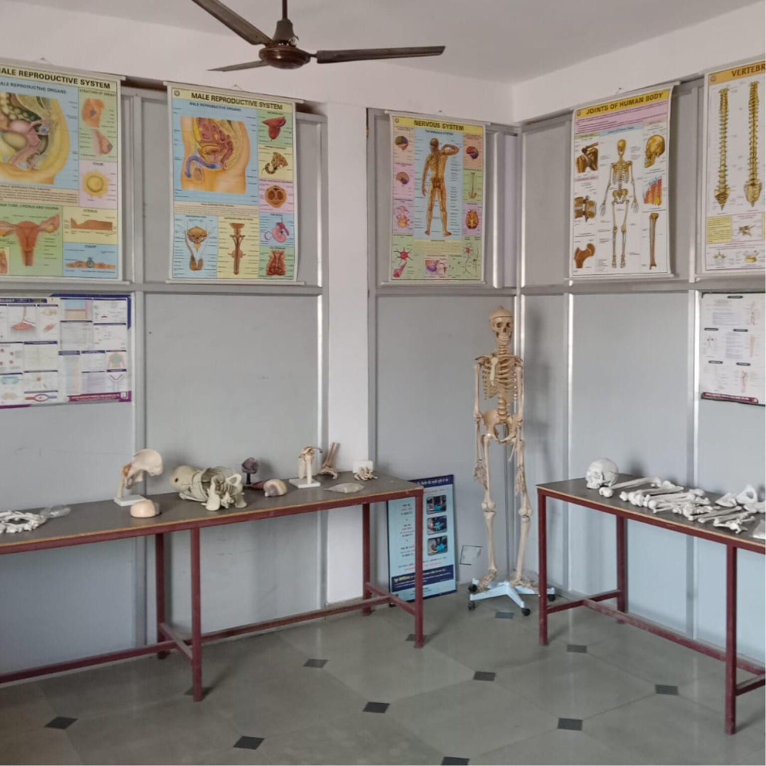 Durga Institute of Paramedical Science Haldwani General photo 6