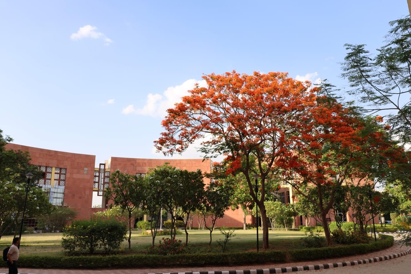 JK Lakshmipat University Jaipur Campus photo 10