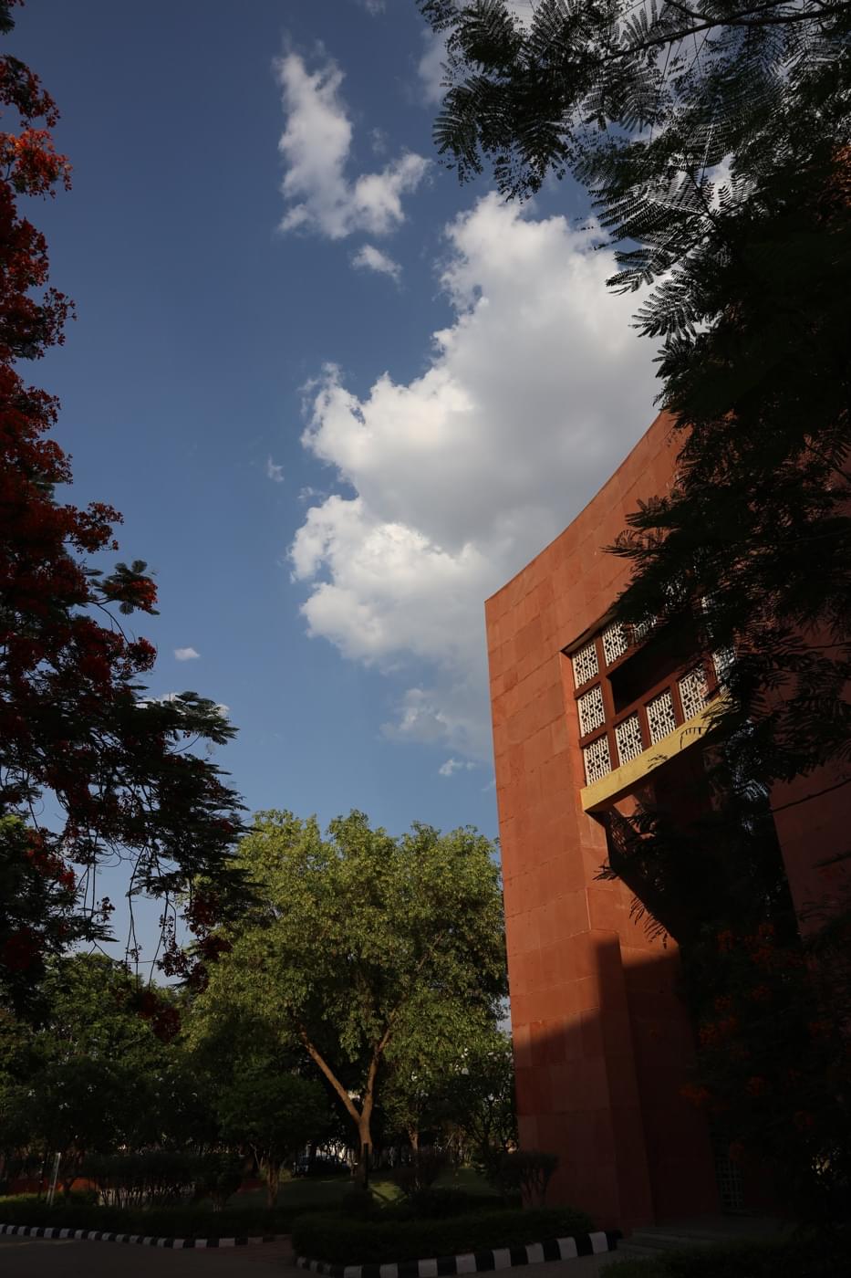 JK Lakshmipat University Jaipur Campus photo 18