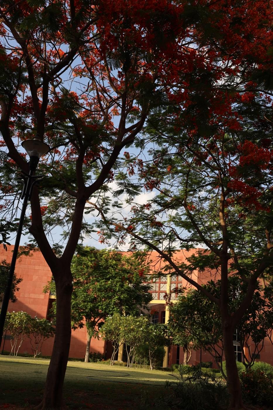 JK Lakshmipat University Jaipur Campus photo 21