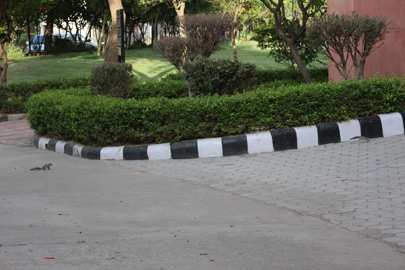JK Lakshmipat University Jaipur Campus photo 23