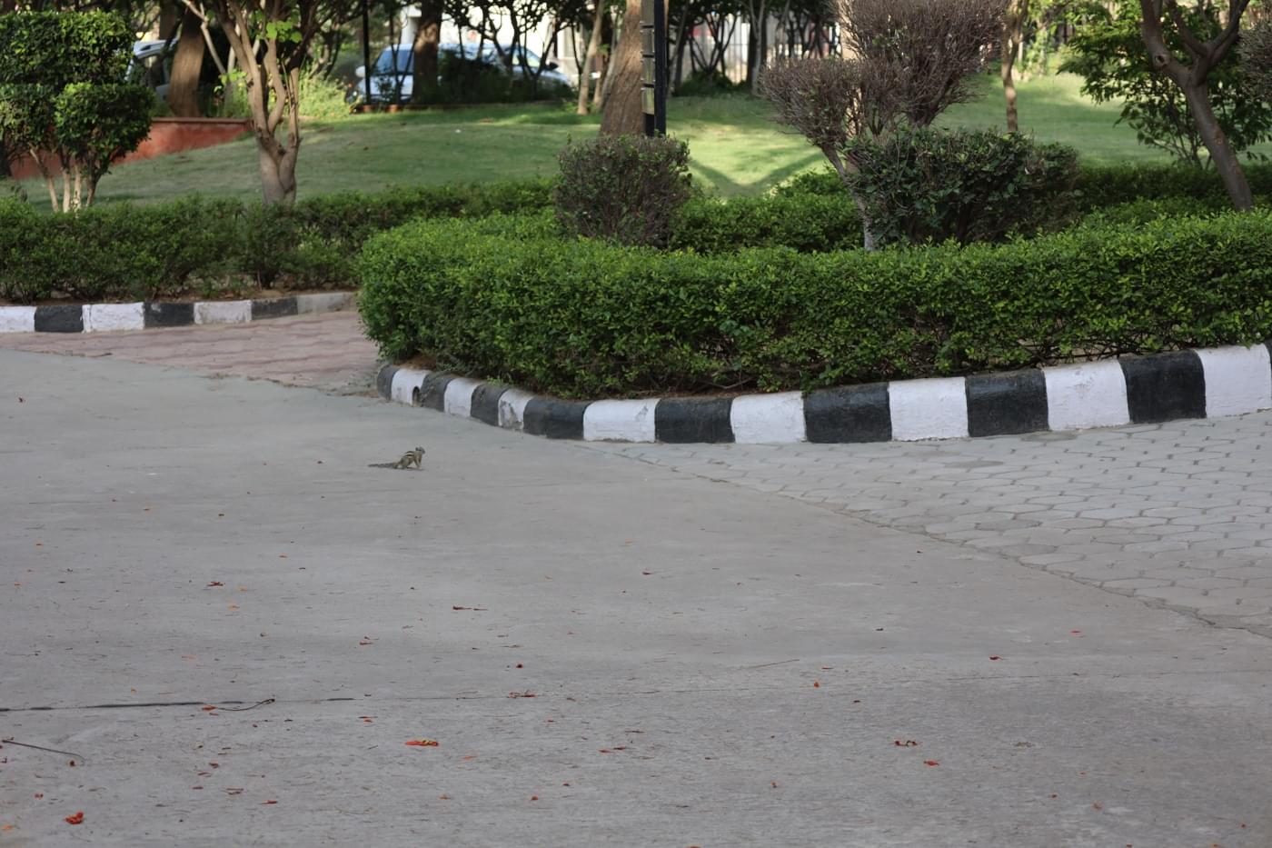 JK Lakshmipat University Jaipur Campus photo 24