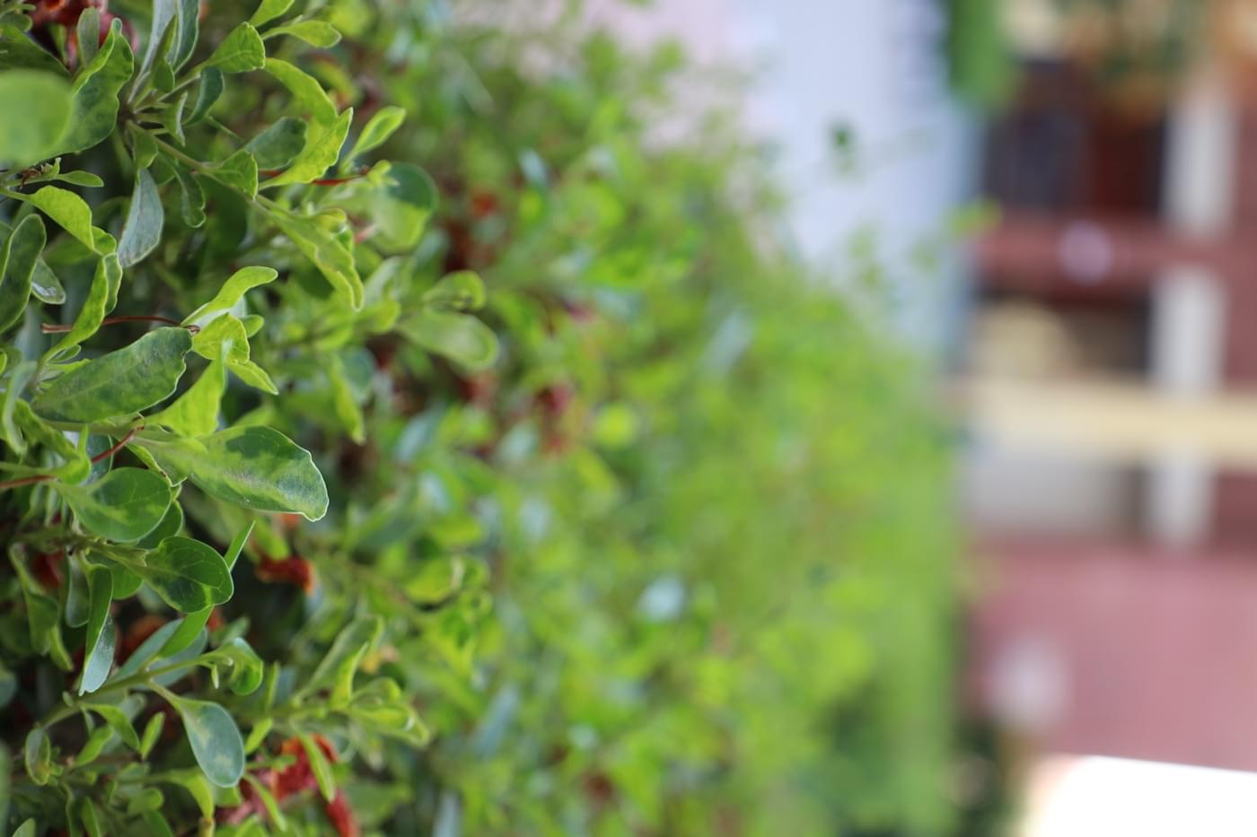 JK Lakshmipat University Jaipur Campus photo 28