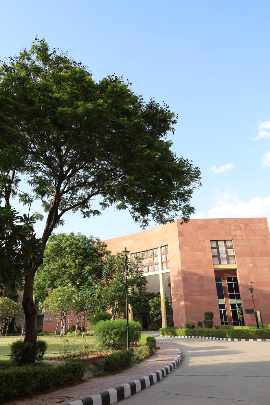 JK Lakshmipat University Jaipur Campus photo 29