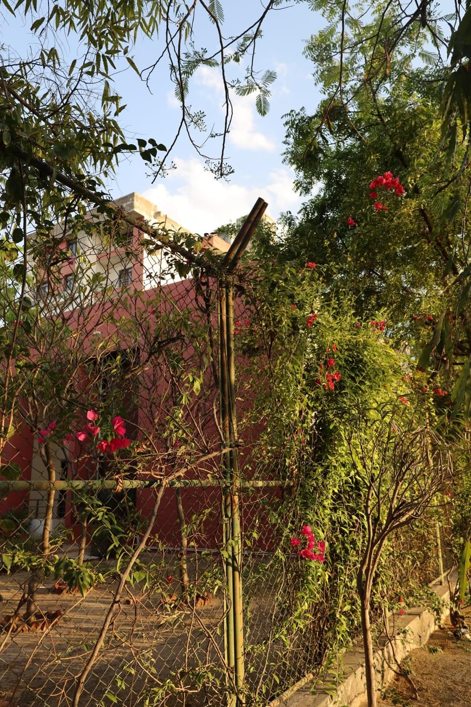 JK Lakshmipat University Jaipur Campus photo 38