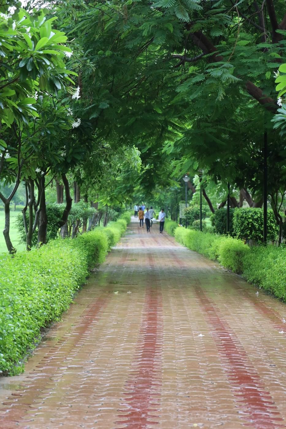 JK Lakshmipat University Jaipur Campus photo 45