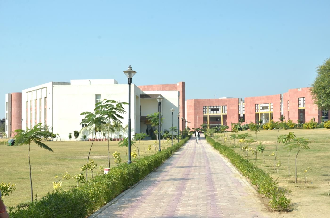 JK Lakshmipat University Jaipur Campus photo 58